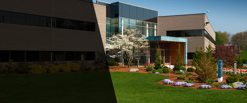 Royse City Landscapers