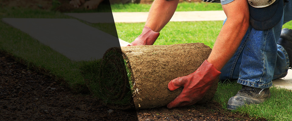 Royse City Landscapers